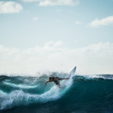 Surfer_uhd