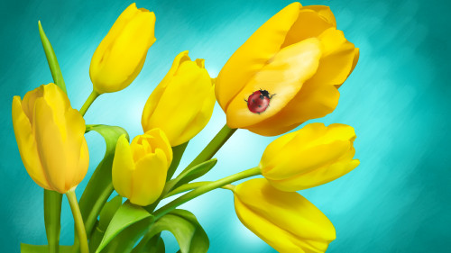 Yellow_Tulips_by_Izabel_uhd.jpg